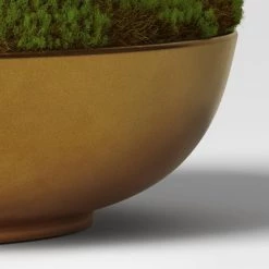 Moss in Gold Bowl - Threshold™ -Threshold Sales Shop GUEST 1bd385a1 ac73 4738 95f0 e429083af04d