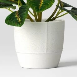 Small Artificial Prayer Plant - Threshold™ -Threshold Sales Shop GUEST 263c0364 3491 4e8a b16c c698e30bf304