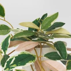 Threshold Sales Shop -Threshold Sales Shop GUEST 5f26cb40 9fdc 4a6a bdf3 f5d3df69b521