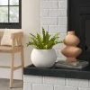 Short Ceramic Organic Modern Vase - Threshold™