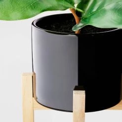 8" Fiddle Leaf Arrangement - Threshold™ 2 8" Fiddle Leaf Arrangement - Threshold™ -Threshold Sales Shop GUEST 78c53f99 a082 4f19 9aec 00c0f2462c6f