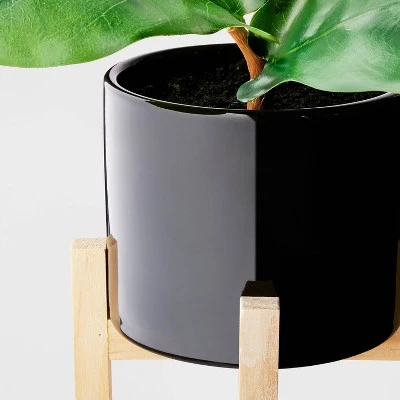 GUEST_78c53f99-a082-4f19-9aec-00c0f2462c6f.jpg 8" Fiddle Leaf Arrangement - Threshold™ -Threshold Sales Shop GUEST 78c53f99 a082 4f19 9aec 00c0f2462c6f