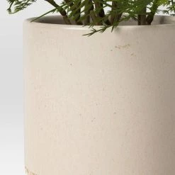 Small Artificial Asparagus Fern - Threshold™ -Threshold Sales Shop GUEST 8b15740c 2be3 41c6 8788 4e6e75294d85