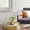 5" x 4" Artificial Succulent Plant with Brass Terrarium - Threshold™ -Threshold Sales Shop GUEST 8b5b0fde 6e8a 4ed9 aef7 b7d315b62c66