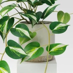 Small Marble Pothos Plant - Threshold™ -Threshold Sales Shop GUEST a3fe6bea 5b67 4df4 b528 e02a57e97341