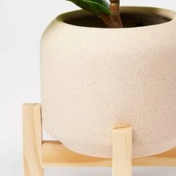 11.5" Faux Fiddle Leaf Plant with Stone Pot and Wooden Stand - Threshold™ -Threshold Sales Shop GUEST b1304dd9 0abf 4ce2 aaac 3be9c9cc5401