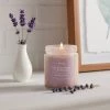 Tinted Glass Coastal Wind and Lavender Lidded Jar Candle Purple 8oz - Threshold™ -Threshold Sales Shop GUEST b518adbf eb3e 4970 bff4 0c99a0c773c6