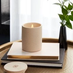 6oz Matte Textured Ceramic Wooden Wick Candle Ivory/Island Starfruit and Nectarine - Threshold™