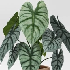 Small Artificial Dasheen Leaf Plant - Threshold™ -Threshold Sales Shop GUEST f70b6a75 41df 4898 b990 15ba14d4d305