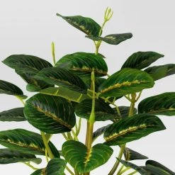 Small Artificial Prayer Plant - Threshold™ -Threshold Sales Shop GUEST fcde49a2 da65 4bde 8c48 af3e1dbf9a4a