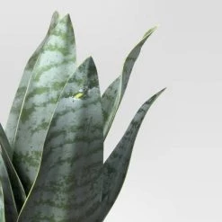 8" x 5" Artificial Snake Plant in Pot - Threshold™ -Threshold Sales Shop GUEST fea1a1d2 f55c 4a47 8fa3 0b3c99d9c461