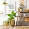 Small Brass Planter - Threshold™ -Threshold Sales Shop GUEST fee58bf9 126d 48ce ba4e 2e8424a7a911